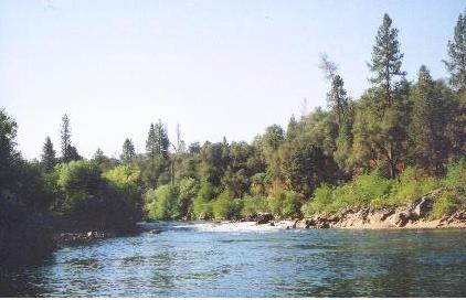 American River 2005.JPG